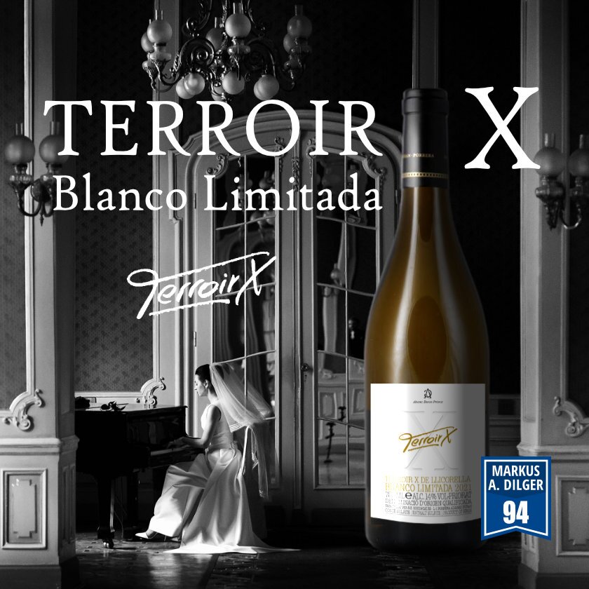 Terroir-X-de-Llicorella-Blanco-Limitada-2021